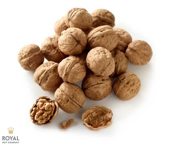 Australian Walnuts in Shell